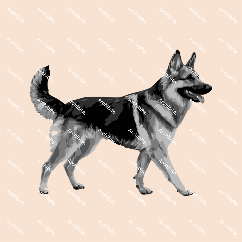 PS Brushes Elevation Dogs
