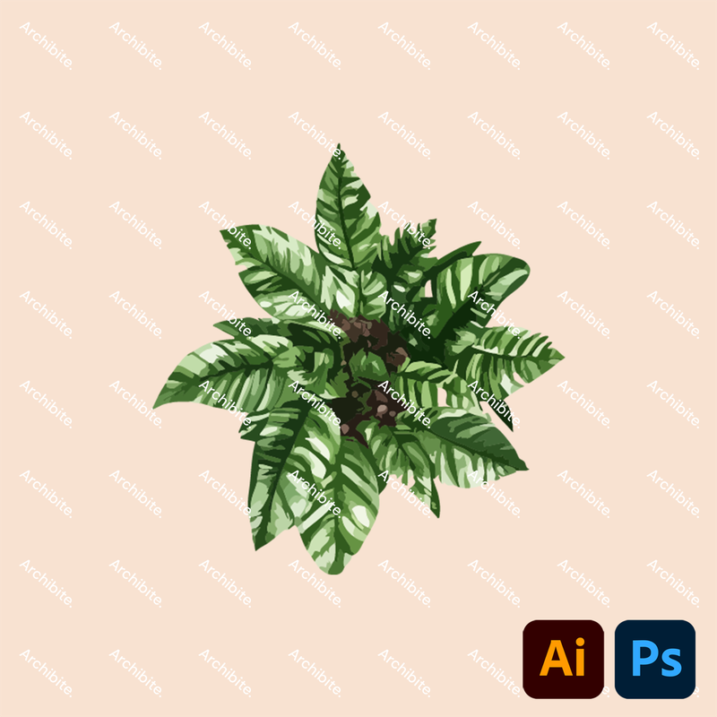 Vector House Plants Plan 2