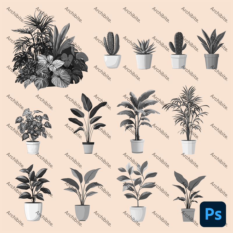 Photoshop Brushes House Plants Elevation 2