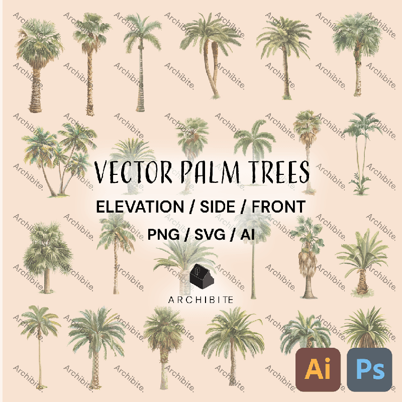 Vector Palm Trees Elevation