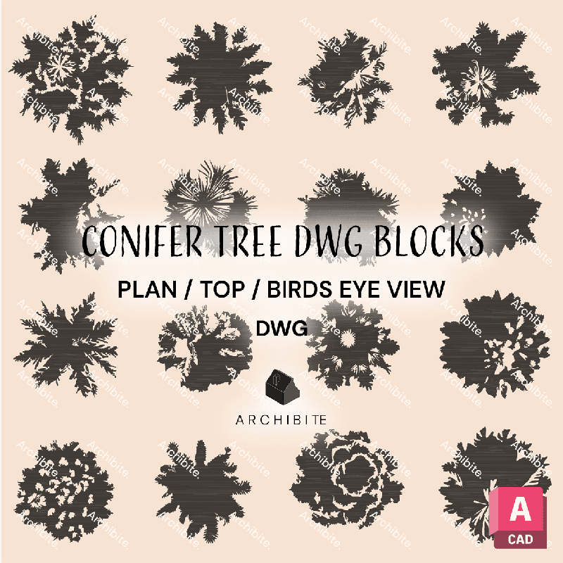 DWG Conifer Trees Plan