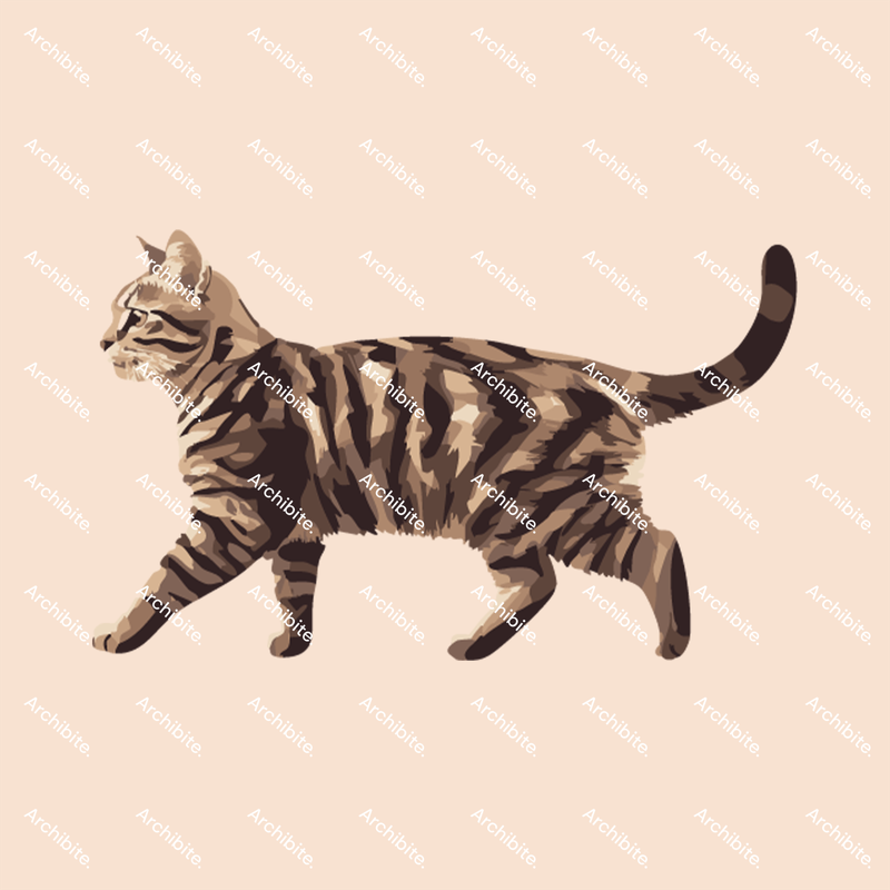 Vector Elevation Cats