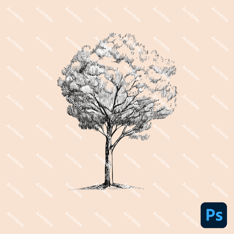 Photoshop Brushes Hand Drawn Trees Elevation 2