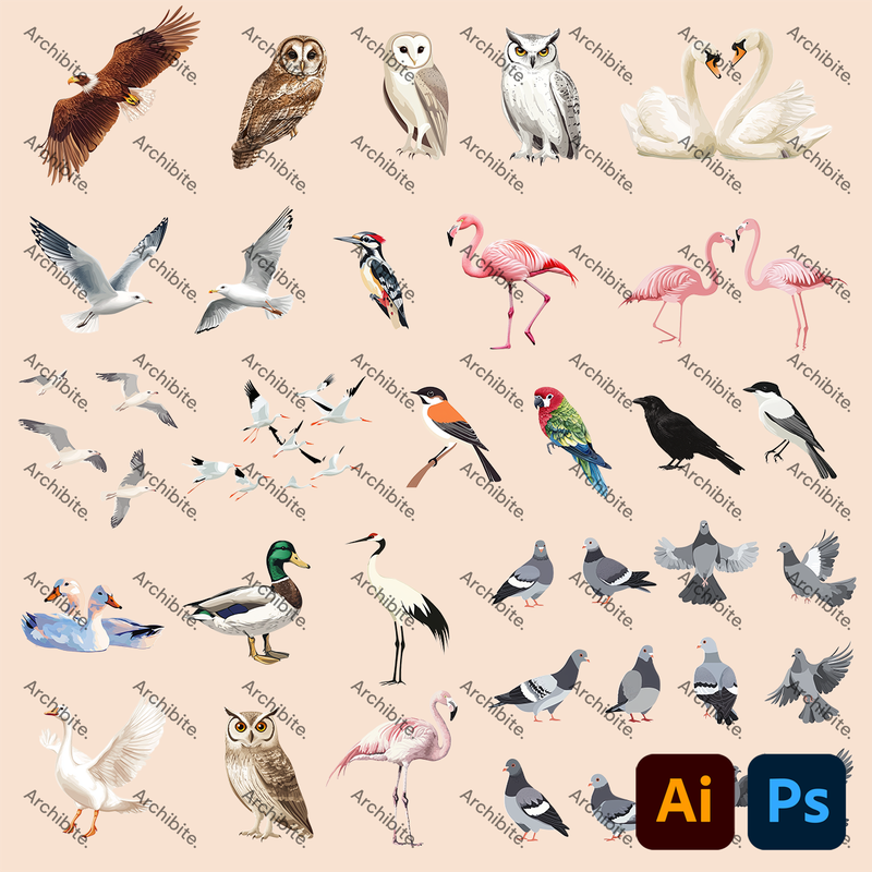 Vector Elevation Birds
