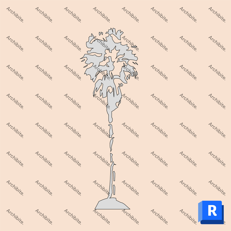 Detail Item Palm Trees Elevation