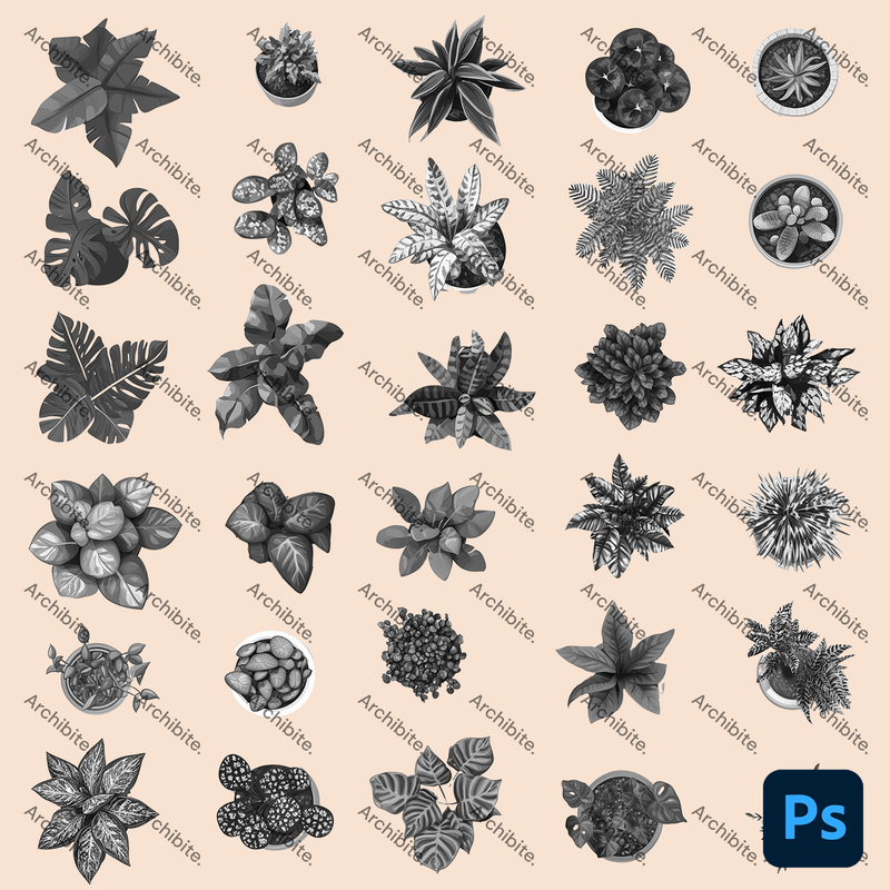 Photoshop Brushes House Plants Plan 2