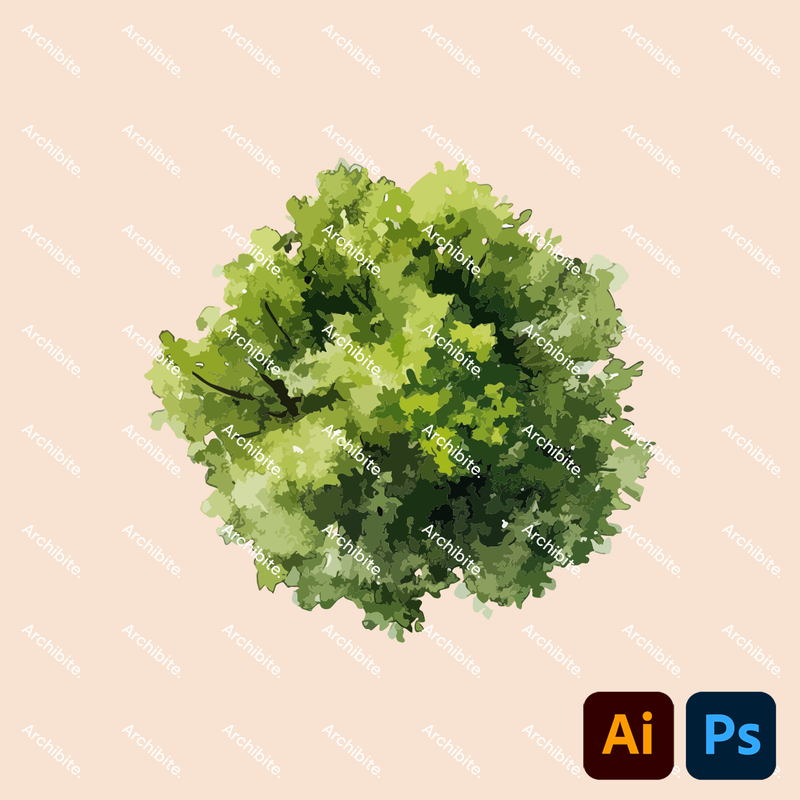 Vector Watercolor Trees Plan