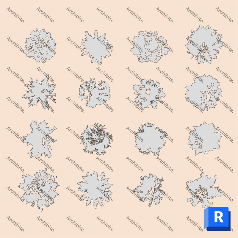 Detail Item Conifer Trees Plan