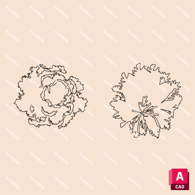 DWG Conifer Trees Plan