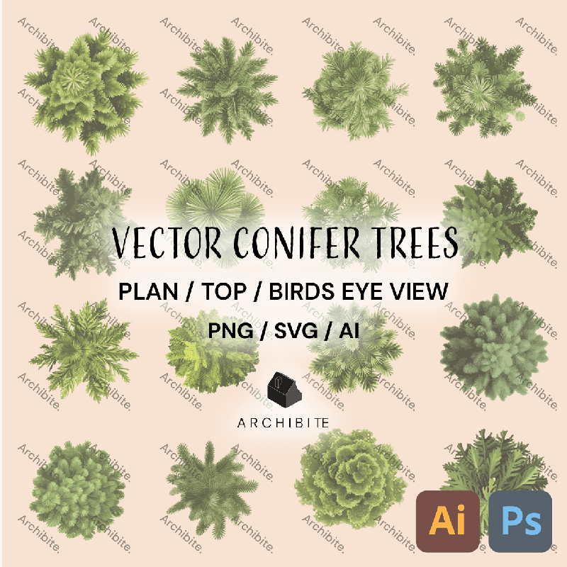 Vector Conifer Trees Plan