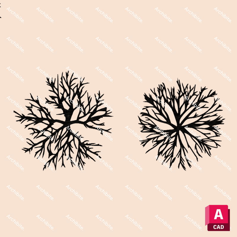 DWG Winter Trees Plan