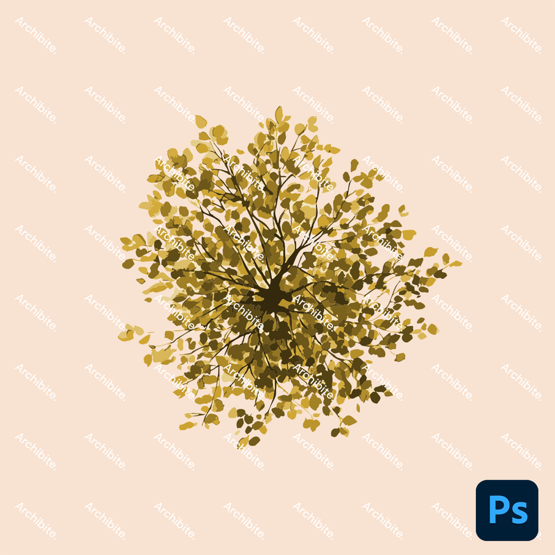 Photoshop Brushes Watercolor Trees Plan
