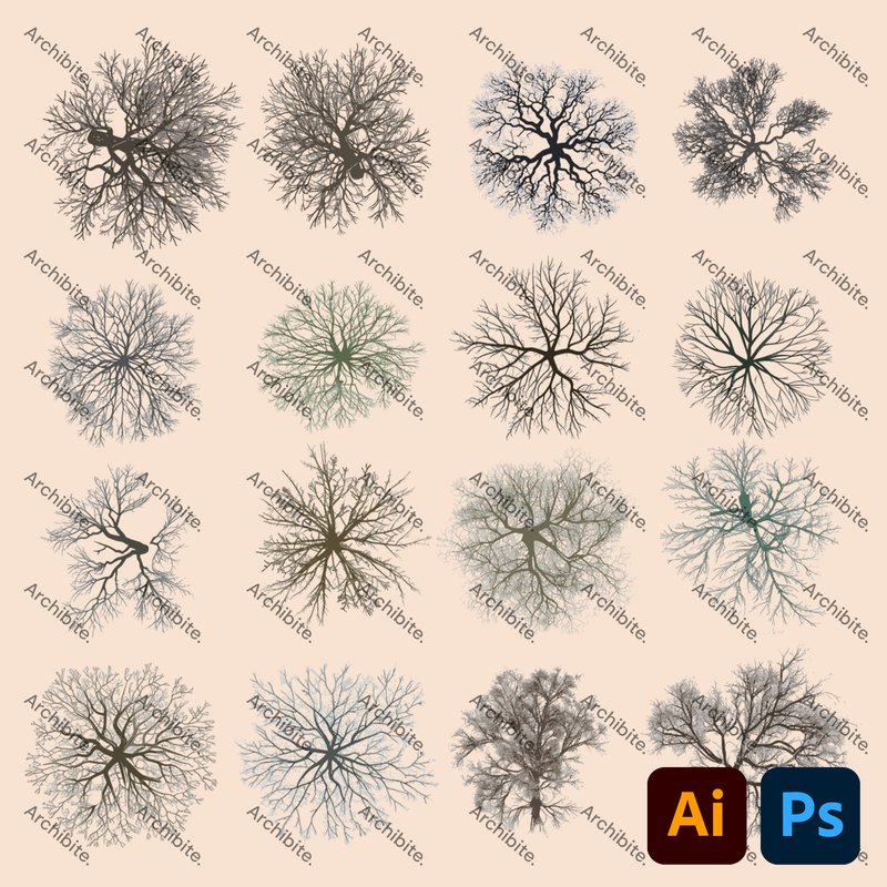 Vector Winter Trees Plan