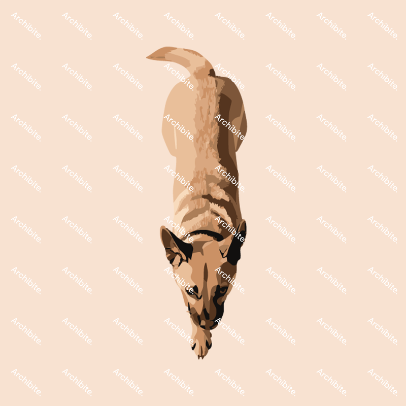 Vector Floor Plan Dogs