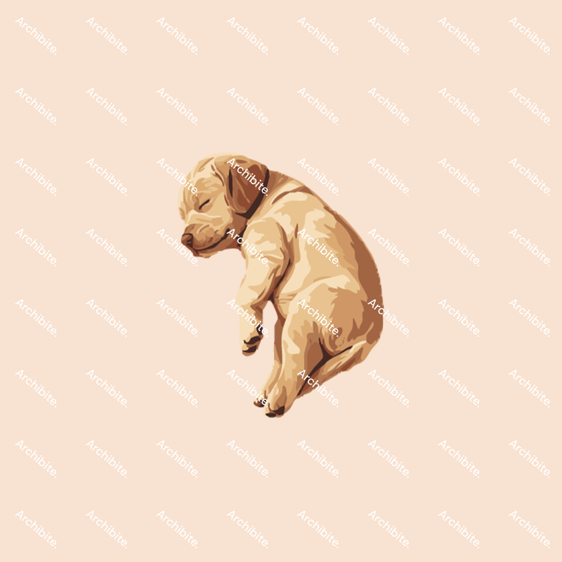 Vector Floor Plan Dogs