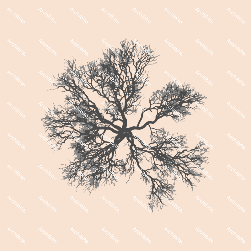 Vector Winter Trees Plan