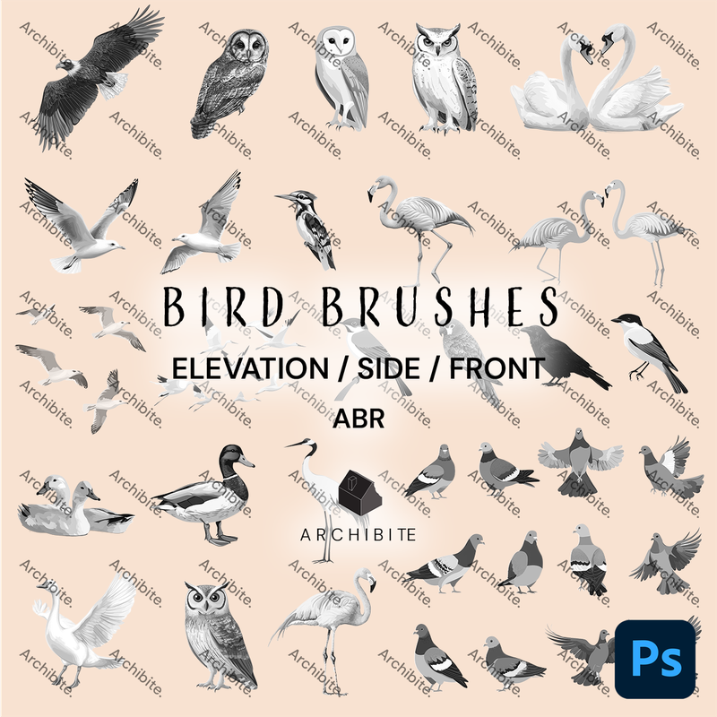 Photoshop Brushes Elevation Birds