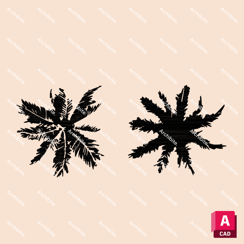 DWG Palm Trees Plan