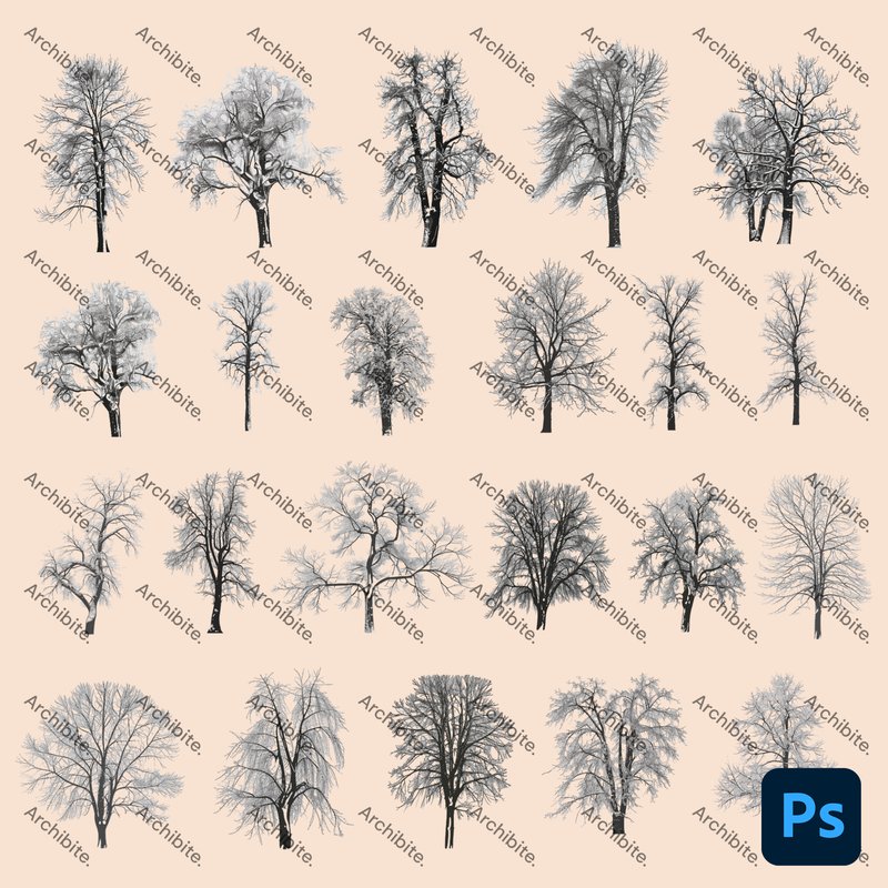 Photoshop Brushes Winter Trees Elevation