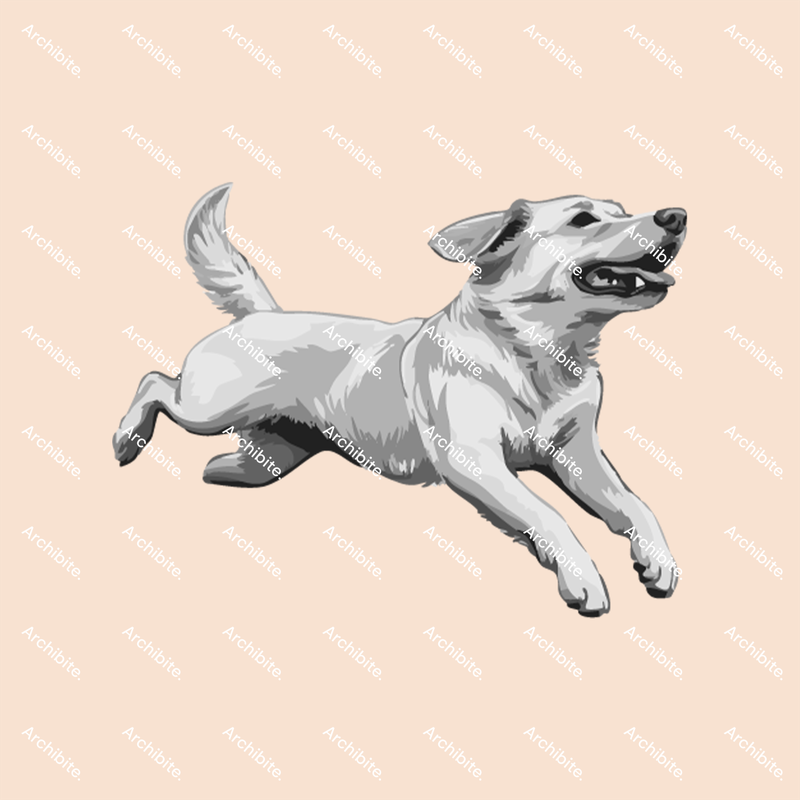 PS Brushes Elevation Dogs