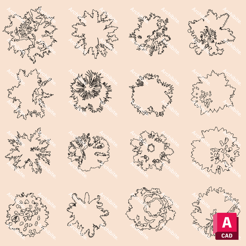 DWG Summer Trees Plan