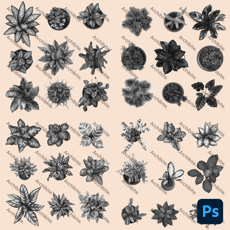 Photoshop Brushes House Plants Plan