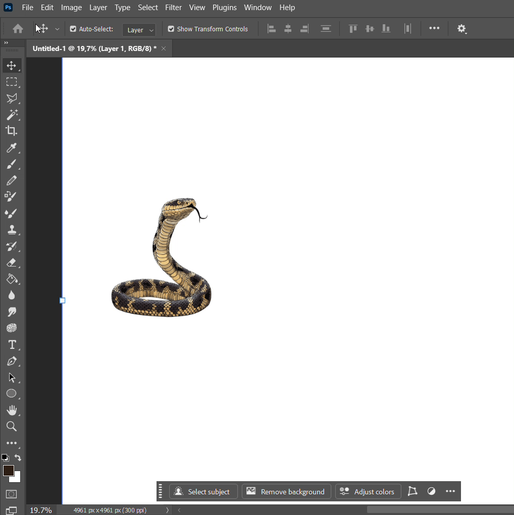 Vector Elevation Reptiles