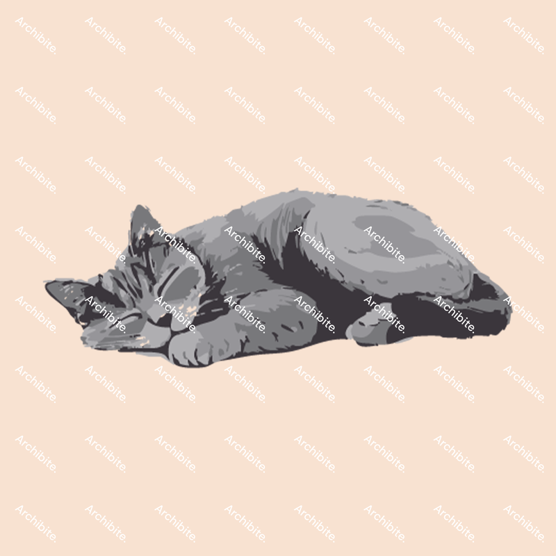 Vector Elevation Cats