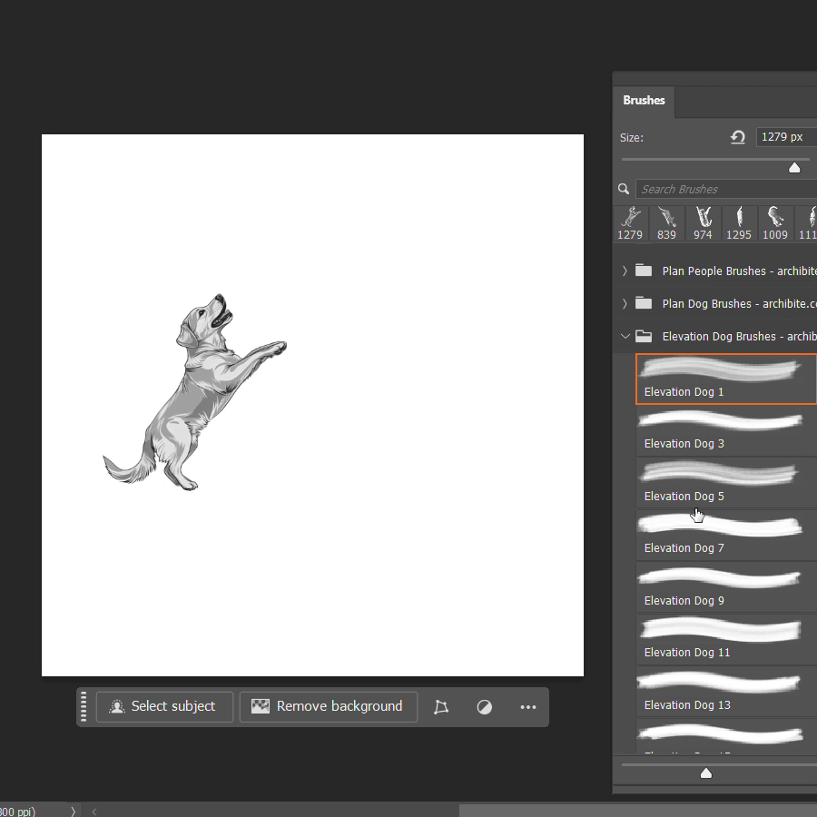PS Brushes Elevation Dogs