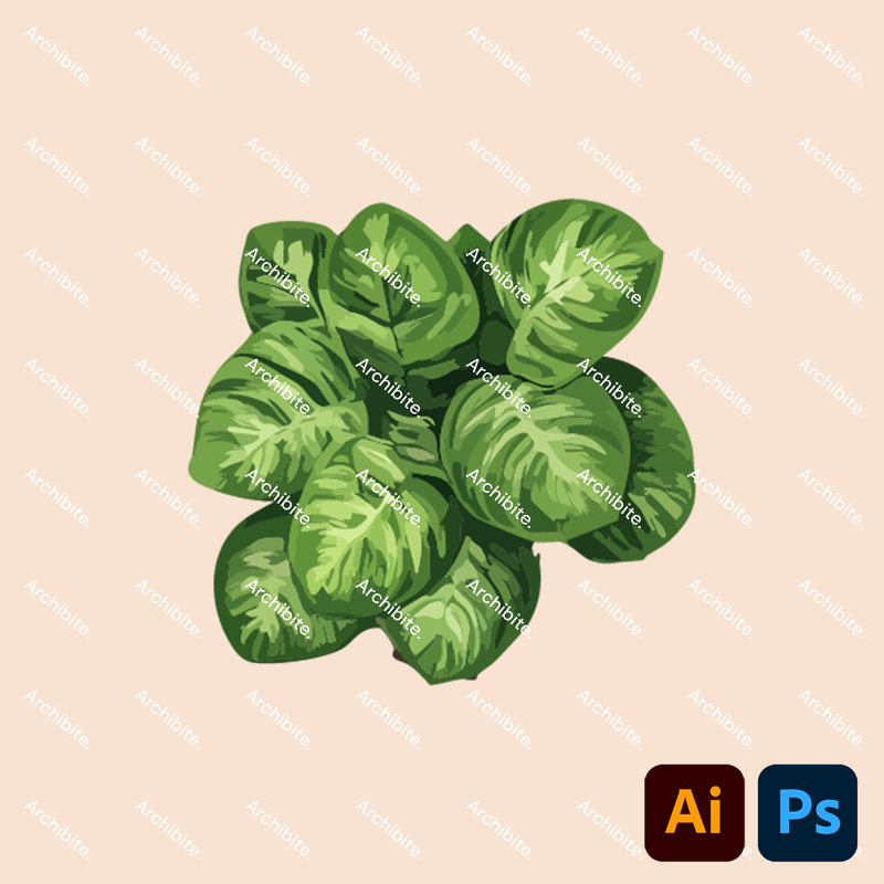 Vector House Plants Plan