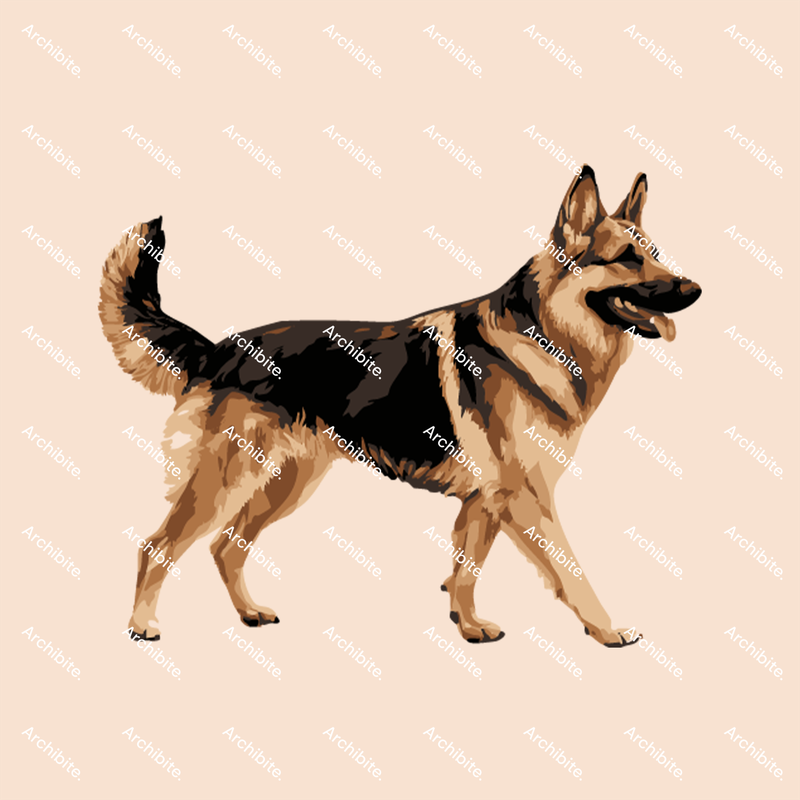 Vector Elevation Dogs