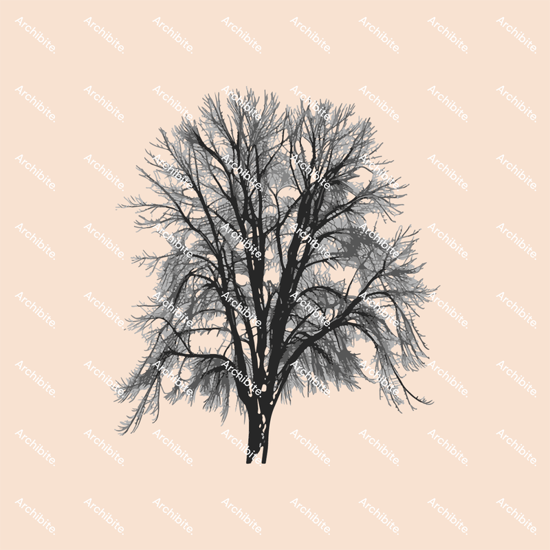 Photoshop Brushes Winter Trees Elevation