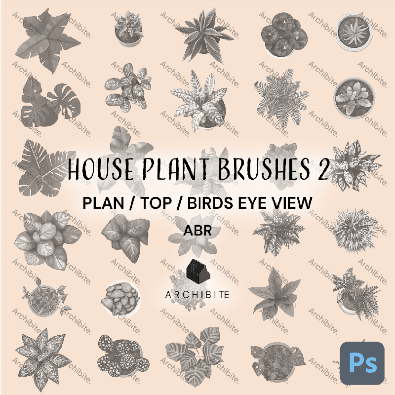 Photoshop Brushes House Plants Plan 2