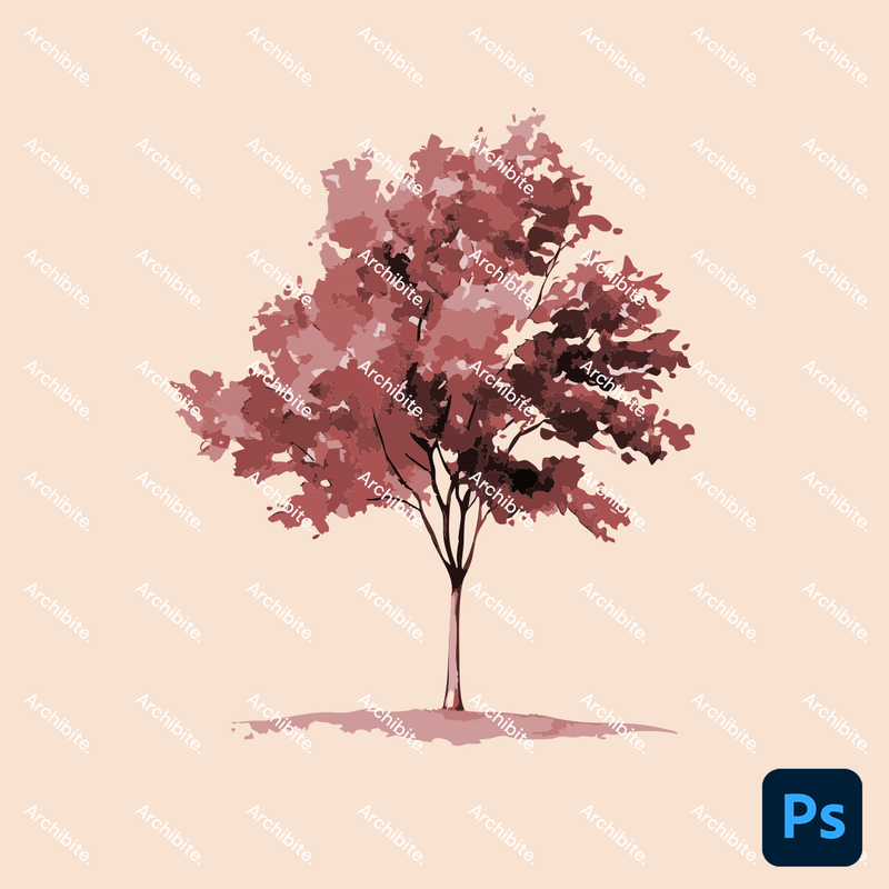 Photoshop Brushes Watercolor Trees Elevation