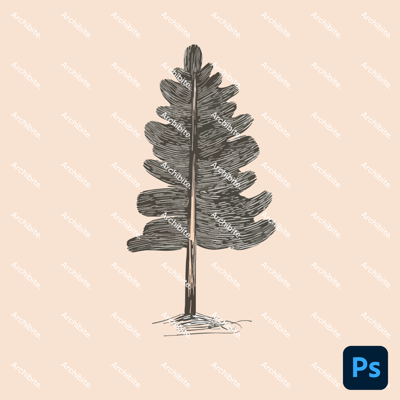 Photoshop Brushes Hand Drawn Simple Trees Elevation 2