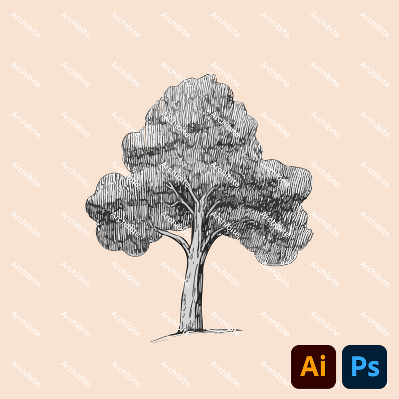 Vector Hand Drawn Trees Elevation 2