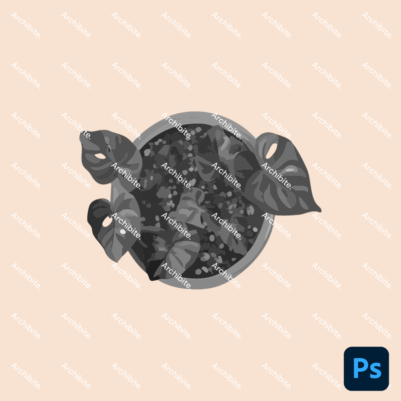 Photoshop Brushes House Plants Plan 2