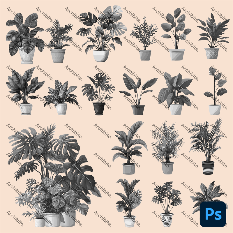 Photoshop Brushes House Plants Elevation