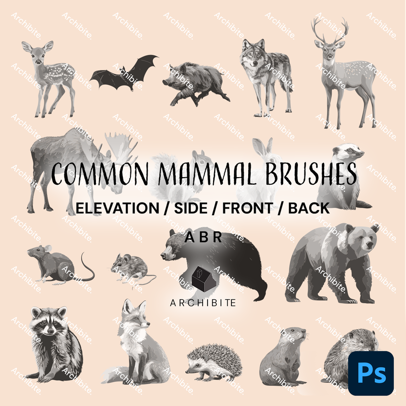 Photoshop Brushes Common Mammals Elevation