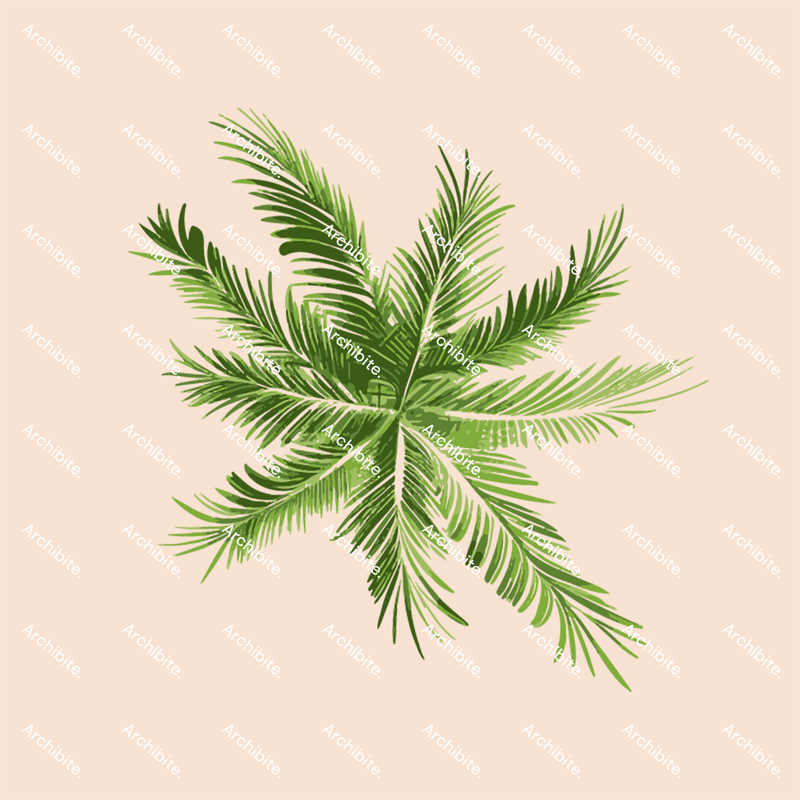 Vector Palm Trees Plan