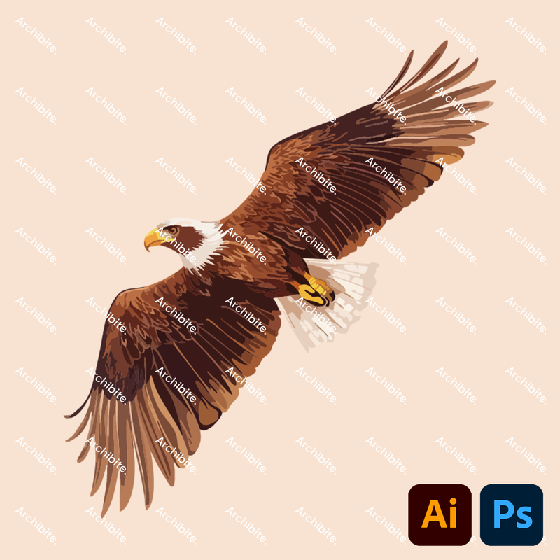 Vector Elevation Birds
