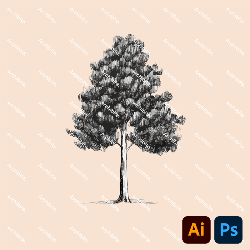 Vector Hand Drawn Trees Elevation