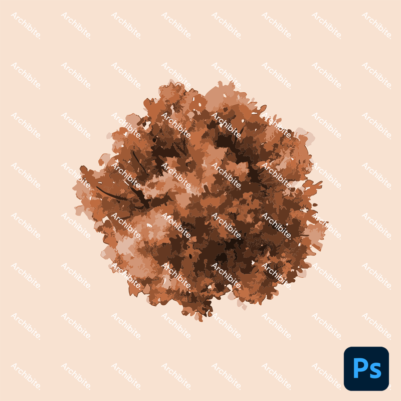 Photoshop Brushes Watercolor Trees Plan