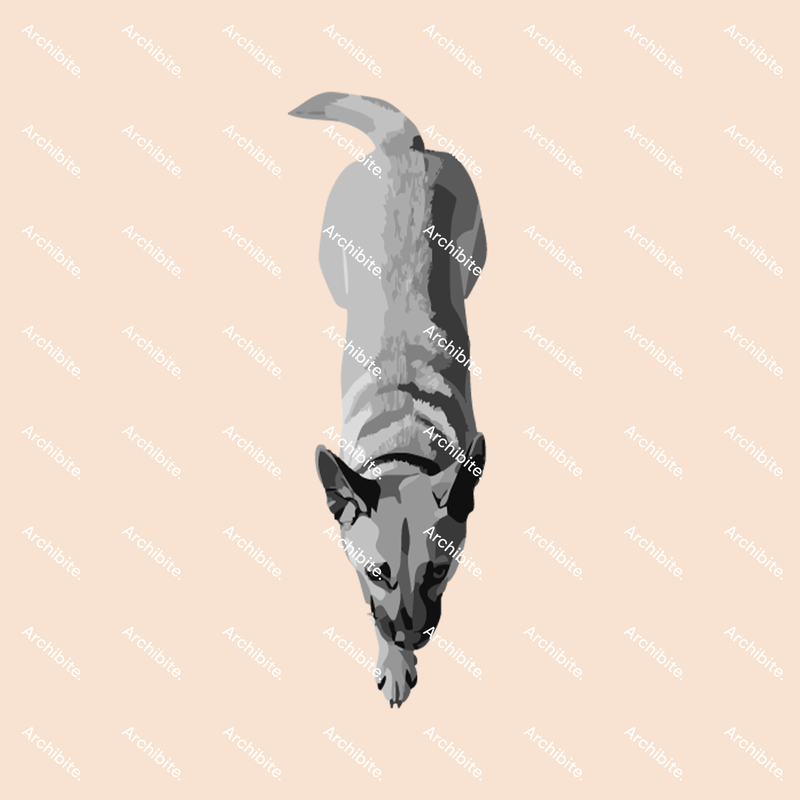 PS Brushes Plan Dogs