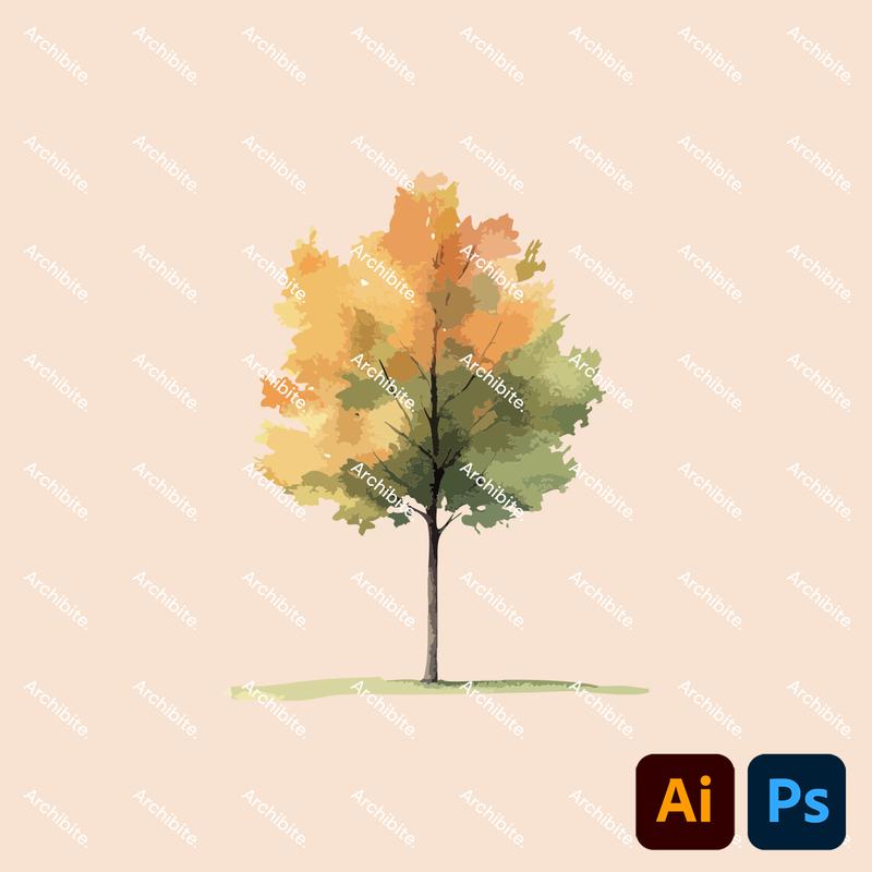 Vector Watercolor Trees Elevation