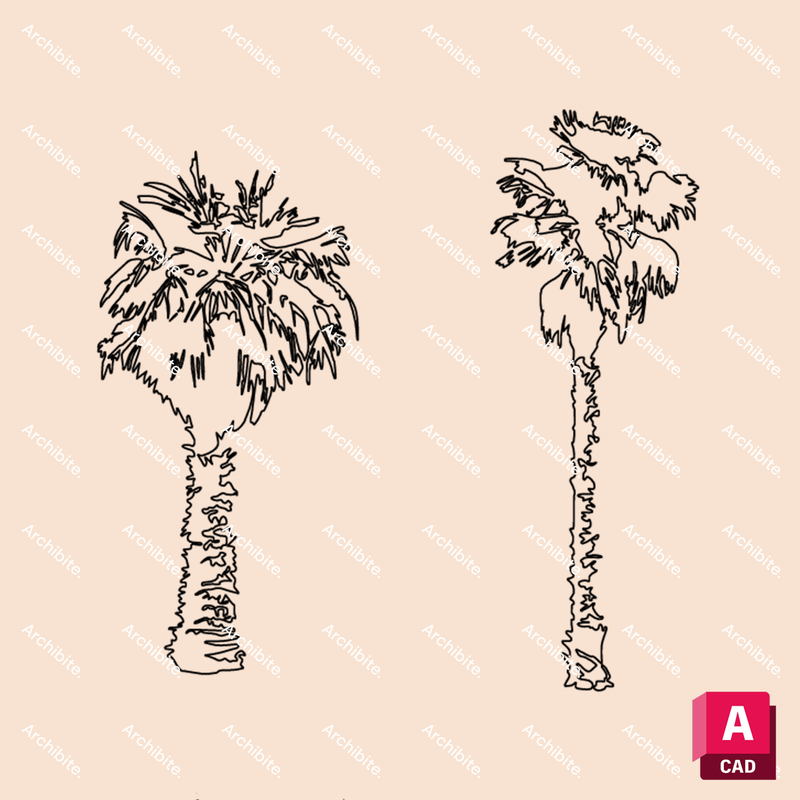 DWG Palm Trees Elevation