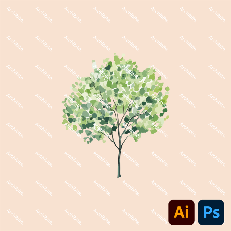 Vector Watercolor Trees Elevation