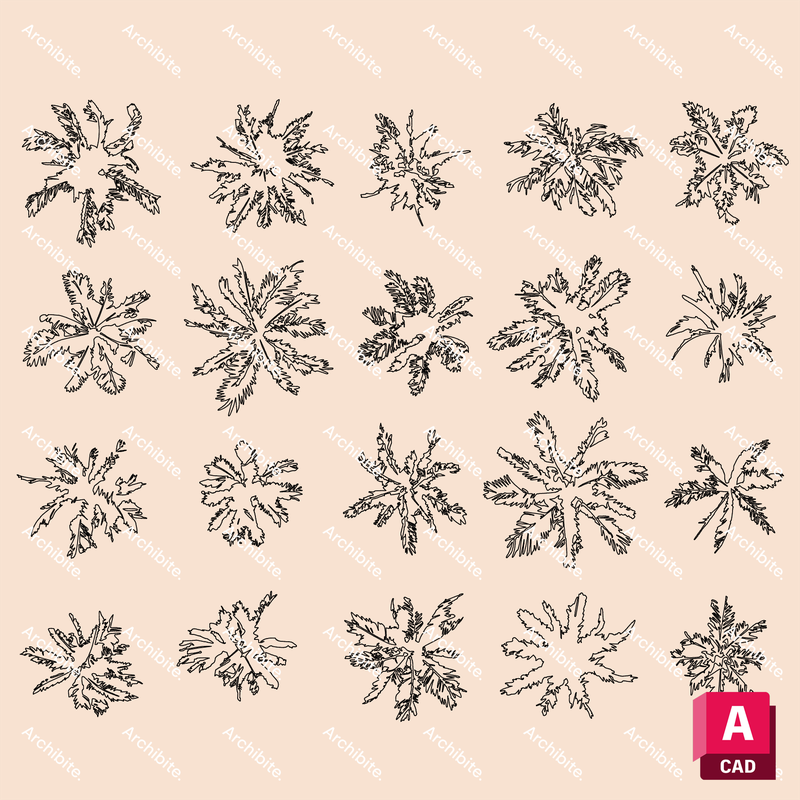 DWG Palm Trees Plan