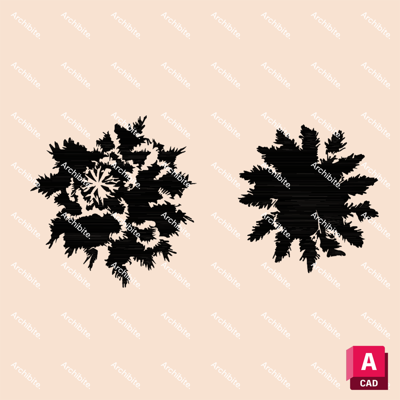 DWG Conifer Trees Plan