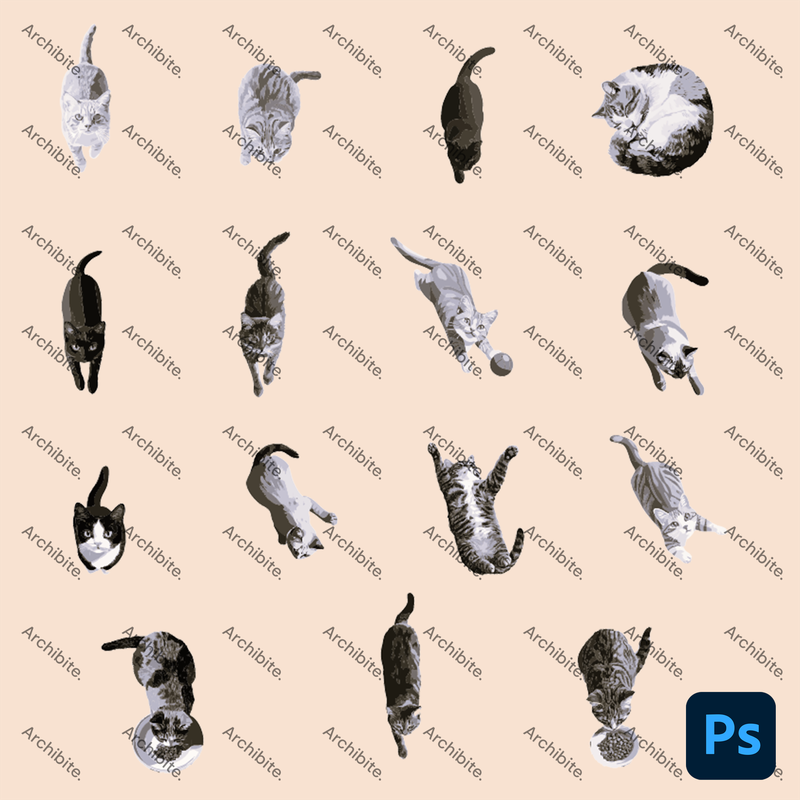 PS Brushes Plan Cats